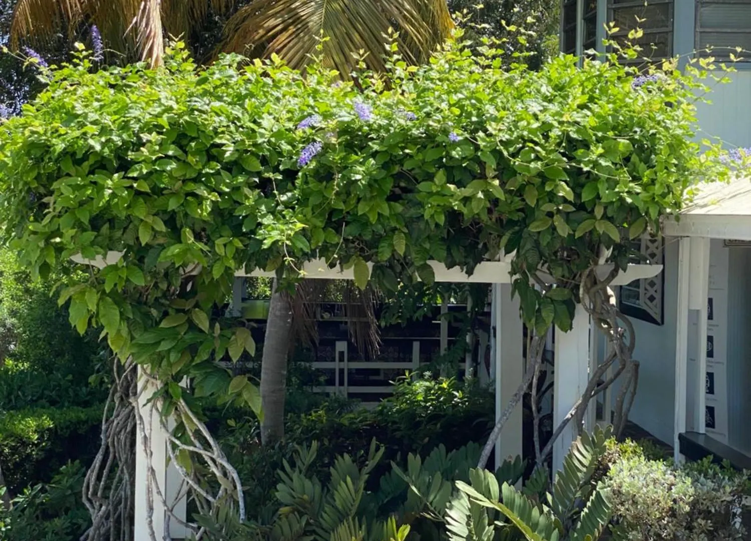 Club Seabourne Hotel Isla Culebra